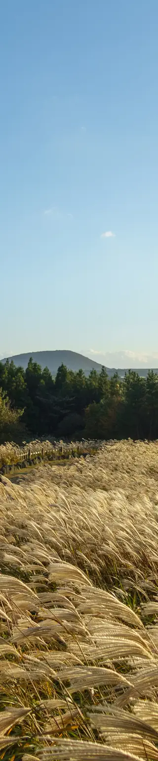Geniesse das Panorama des Sangumburi-Kraters